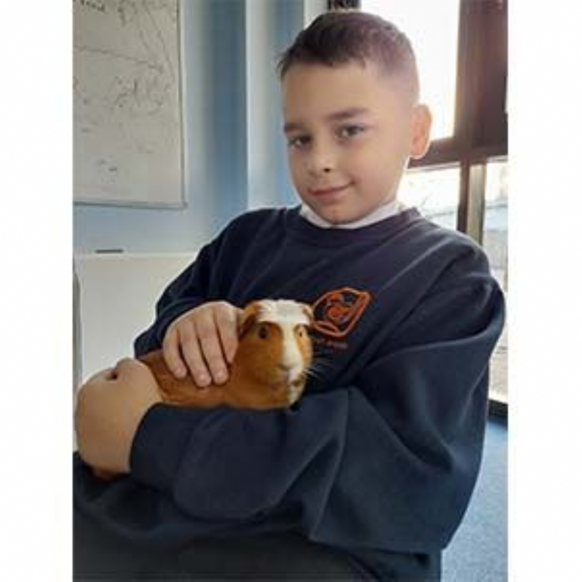 The Beckmead Trust Two Furry Friends